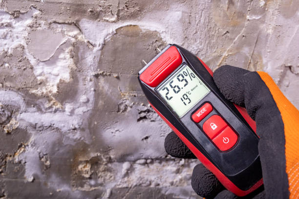 Best Insurance-Related Mold Remediation in Yaphank, NY